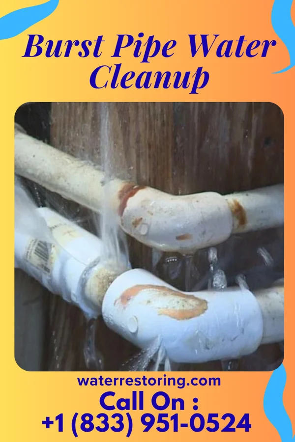 Burst Pipe Water Cleanup in Frankfort, OH