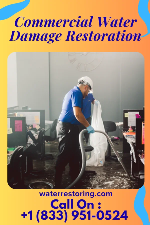 Commercial Water Damage Restoration in Frankfort, OH