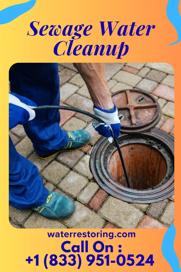 Sewage Water Cleanup in Frankfort, OH