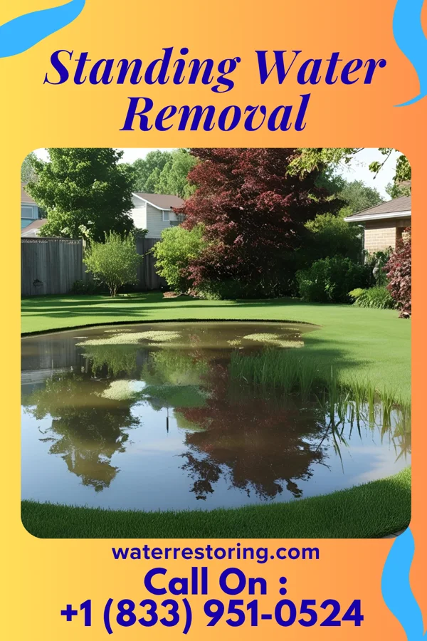 Standing Water Removal in Frankfort, OH